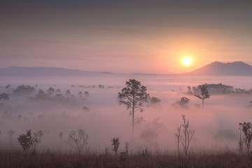 Obraz premium sunrise in the mountains