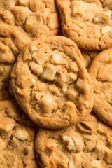 Fresh baked, Mouth watering macadamia nut cookies background. Sweet biscuits. Homemade sweetness