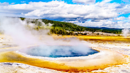 Steam coming out of the Crested Pool in the Upper Geyser Basin along the Continental Divide Trail in Yellowstone National Park, Wyoming, United States