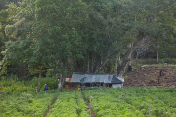 Village Life in Sri Lanka