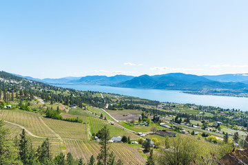 Fototapeta na wymiar Panoramic view of Narmata Bench vineyards, Okanagan Lake and Okanagan Valley in springtime