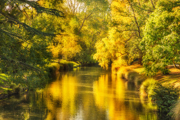 Autumn color nature landscape in garden with water river stream. Fall season background.