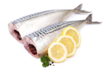 Mackerel fish on white background