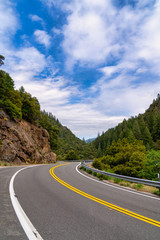 Winding Mountain Road in the Forest in the Sierra Nevada Mountains