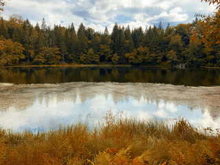 autumn landscape with lake