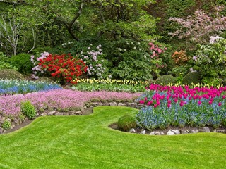 Lush garden blooming in the spring with colorful tulips on the flower beds