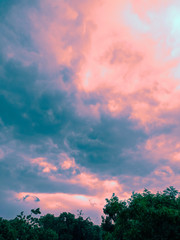 Mother Nature
