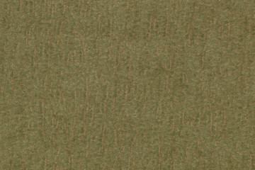Fototapeta premium Olive green paper texture background