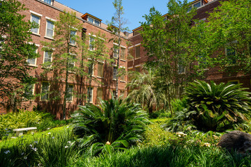 Florida State University campus garden landscape