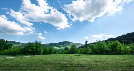 Naklejka premium Green spring landscape view of a mountain meadow in Stara Planina mountain, Bulgaria, Balkans 