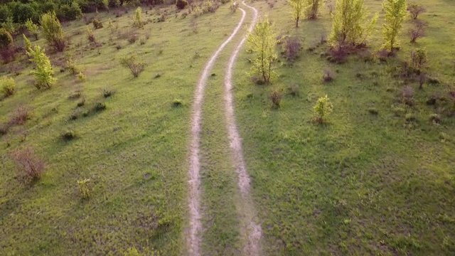 Trampled tracks on the grass from the wheels of a car, a road on a meadow in nature, green grass and flowering shrubs in spring.