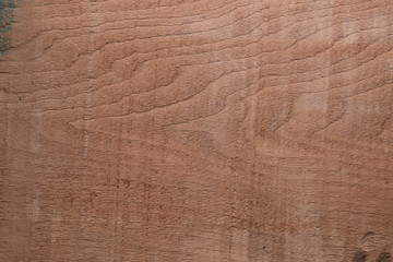 Wood texture background surface with old natural pattern. Texture of wood background close up. Top view. Copy space.