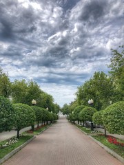 path in the park