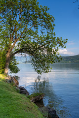 Fototapeta na wymiar Beautiful shore landscapes along the Upper Zurich Lake (Obersee) near Bollingen, Sankt Gallen