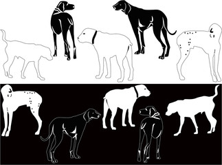 ten dog silhouettes on white and black background