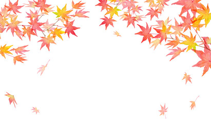 赤く色づいた秋の紅葉の枝と落葉。水彩イラスト。アーチ型フレームデザイン。