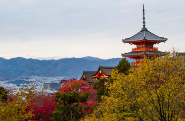Obraz premium Kiyomizu-dera temple in autumn.