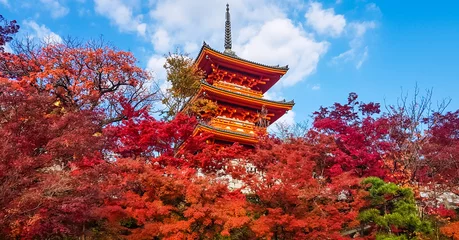 Poster Kiyomizu-dera temple in autumn. © idmanjoe