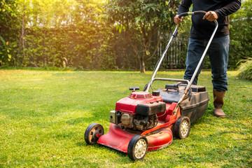 Fototapeta premium A worker cutting grass in green yard at sunset. Man with electric lawnmower, lawn mowing. Gardener trimming a garden