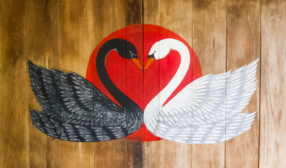 Black and white swans © idmanjoe