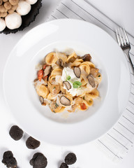 Orecchiette pasta with ceps, cherry tomatoes, ricotta gratin, fresh truffles and wild mushrooms