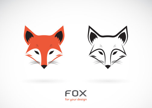 Vector of fox head design on white background., Wild Animals., Fox head logos or icons., Easy editable layered vector illustration.