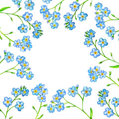 watercolor drawing wild flowers