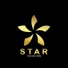 Premium star logo design