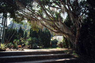 Greenhouse in Queen Sirikit Botanical Gardens, Chiang Mai Province.