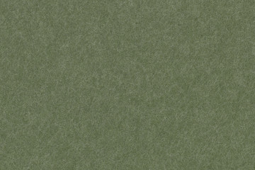 Fototapeta premium Green paper texture background