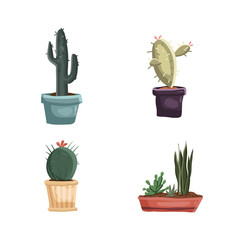 Cacti in pots set illustration set green