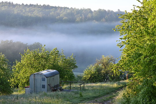 Wohnwagen auf einer Wiese vor nebliger Waldlandschaft