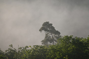 Fr&uuml;h am frostigen eisheiligen Morgen