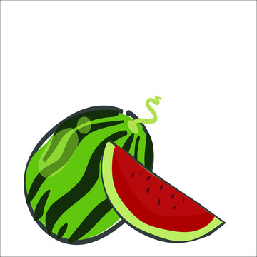 illustration of watermelon