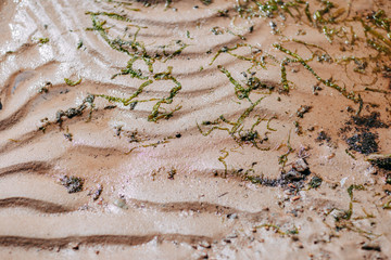 Ocean shore, sand and rocks on the sea coast. Ripples on sand and slime.