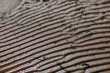 Ocean shore, sand on the sea coast. Ripples on the sand.