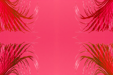 Fototapeta na wymiar Palmes rouges sur fond rose
