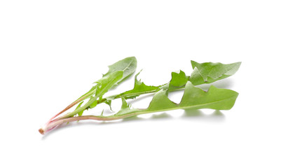 Fresh dandelion leaves on white background