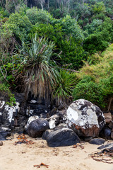 Rocks at Tautuku beach in New Zealand.