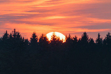 Sonnenuntergang &uuml;ber Wald