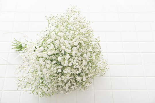 453 1 最適な かすみ草 画像 ストック写真 ベクター Adobe Stock