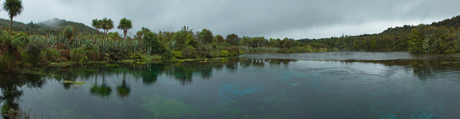 Fototapeta na wymiar Te Waikoropupu Springs in Kahurangi National Park,Tasman Region on South Island of New Zealand 