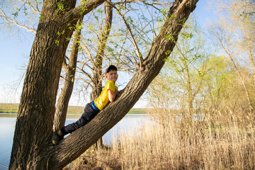 a boy in a yellow T-shirt climbed a tree