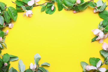 Frame made of beautiful blossoming branches on color background