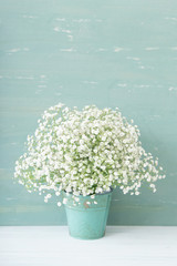 花瓶に生けたかすみ草