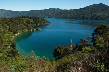 Naklejka premium View of Grove Arm from Queen Charlotte Drive,Marlborough Region on South Island of New Zealand 