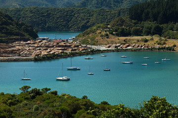 Obraz premium View of Picton Harbour from Picton Harbour Lookout,Marlborough Region on South Island of New Zealand 