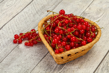 Sweet tasty fresh Red currant