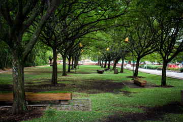 path in the park