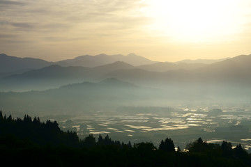 朝陽が差し込み、美しいパッチワークのような黄金色に輝く水田と雲海